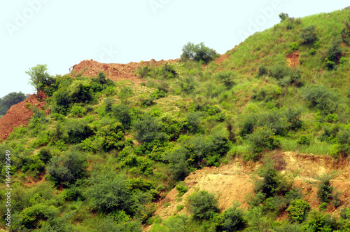  Land development in area near Islamabad 