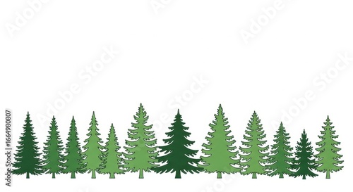 Array of Green Coniferous Trees on White Background for Nature and Environment Themes