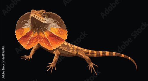 Frill Necked Lizard Reptile Detailed Profile View Australian Wildlife Exotic Pet