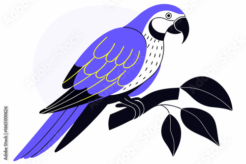 parrot on a branch