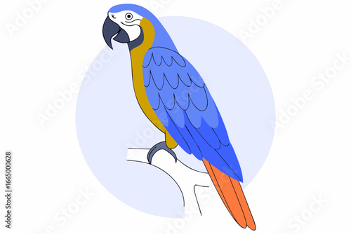 parrot on branch