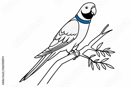 parrot on a branch