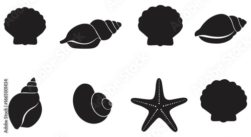 Collection of seashells and starfish in black silhouette on white background