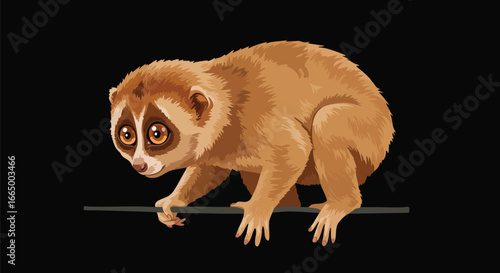 Slow Loris on Branch Cute Nocturnal Primate Wildlife Animal Photo