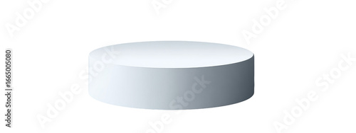 A light gray, round, flat disc