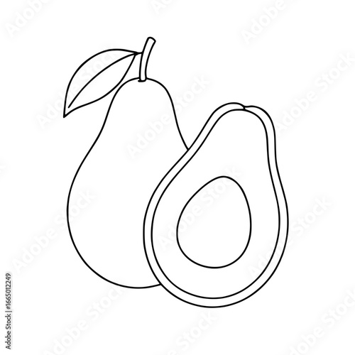 vector illustration avocado