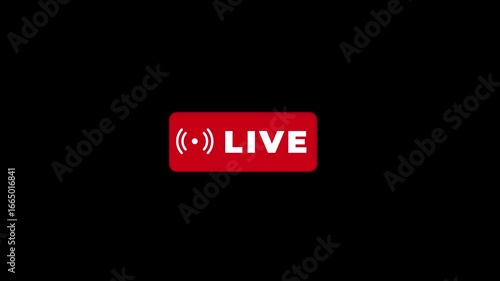 Live online stream animated icon