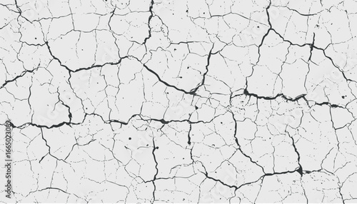 A close-up view of cracked earth texture