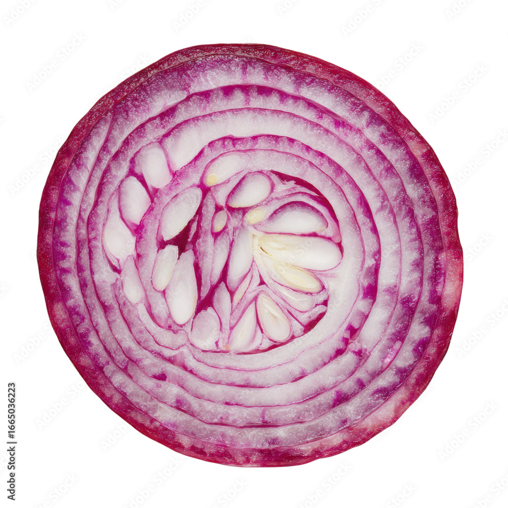 Fototapeta premium A sliced red onion top on transparent background