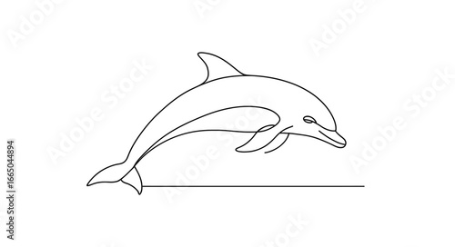 Minimalist dolphin outline art with simple continuous line for modern design