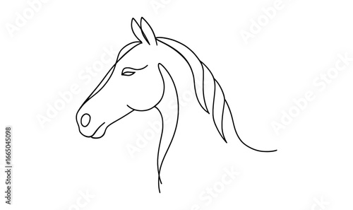 Minimalist line art of horse head profile in elegant black outline