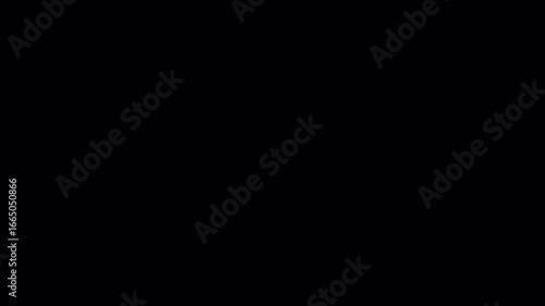 please rotate Your Phone Screen Animation