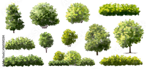  Vector watercolor green  tree or forest side view isolated on white background for landscape and architecture drawing,elements for environment or and garden,Shrub for section