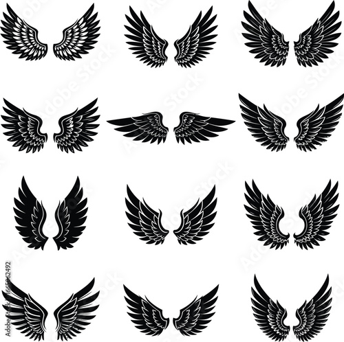 Set of vector wings icons including eagle angel and feather silhouettes for design and decoration