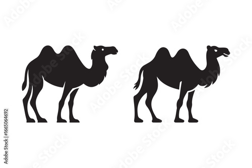 Two black silhouette camels standing side by side