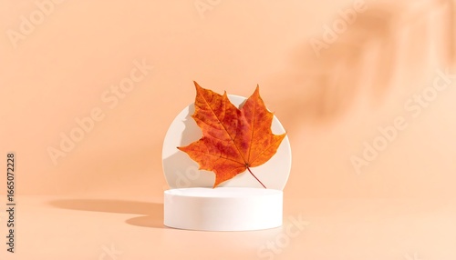 Autumn leaf on minimalist white display against a muted orange background