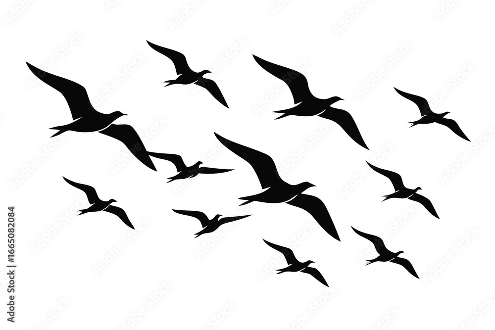 Fototapeta premium Silhouette of a Flock of Birds Flying in Formation Against a White Background