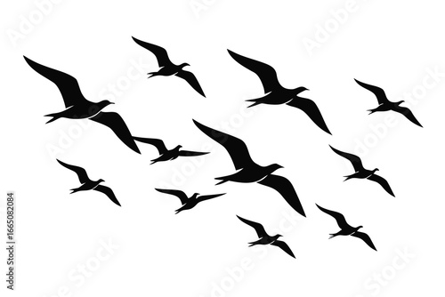 Silhouette of a Flock of Birds Flying in Formation Against a White Background
