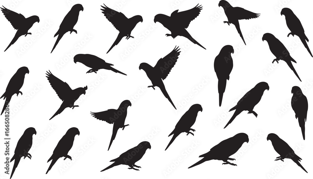 Fototapeta premium A comprehensive set of parrot silhouettes in various poses, including flying, standing, and perched, for animal and nature designs