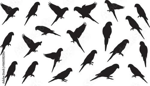 A comprehensive set of parrot silhouettes in various poses, including flying, standing, and perched, for animal and nature designs
