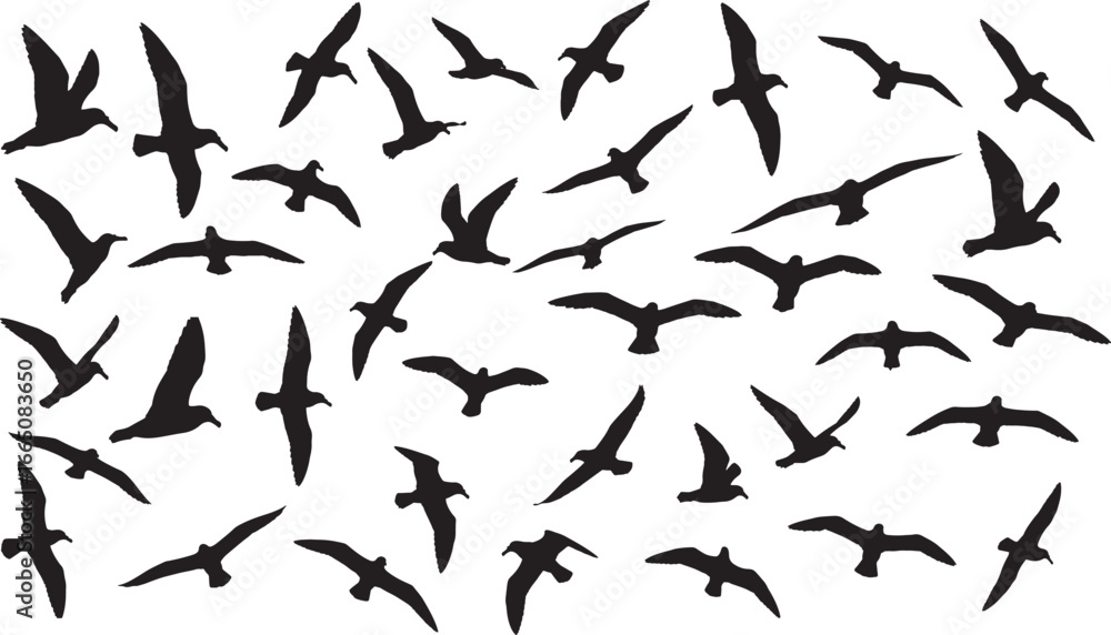 Naklejka premium A collection of flying seabird silhouettes, including gulls, flying in various dynamic poses, creating a seamless vector graphic for design projects