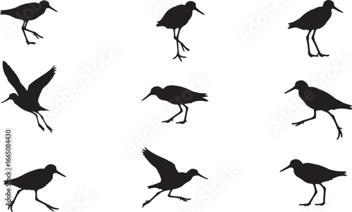 A set of common sandpiper bird silhouettes in various poses, including walking, standing, and taking flight, perfect for graphic design