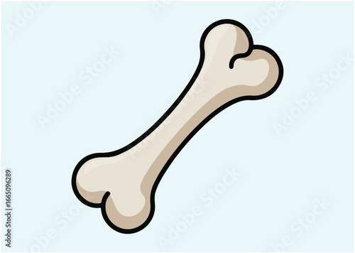 Bone Vector design