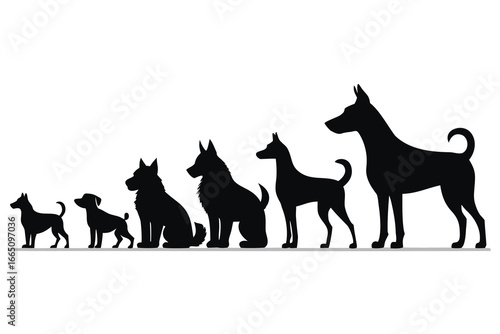 Dog Breed Size Comparison Silhouette Illustration of Small to Large Canines on White Background