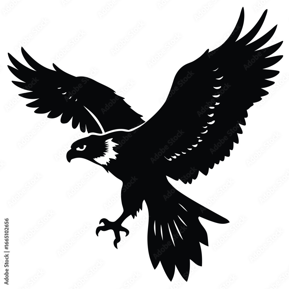 Fototapeta premium Silhouette of a Majestic Eagle Soaring Downward with Wings Spread Wide and Talons Extended