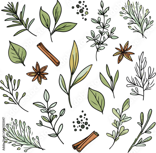 Herbal Essence: Artistic botanical illustrations of various culinary herbs and spices, hand-drawn with intricate detail and natural colors for an aesthetic and appetizing effect.