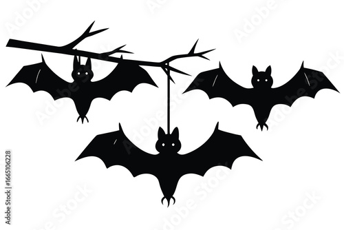 Three Black Bat Silhouettes Hanging from a Branch on a White Background