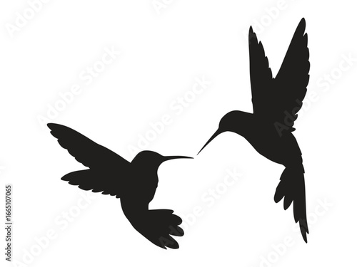 Hummingbird Silhouette Set. Symmetrical Flying Birds Vector.