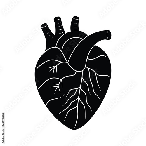 Stylized Human Heart Icon in Black and White