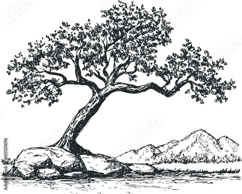 Ink sketch of a gnarled, leaf-covered tree with rocky terrain and distant mountains