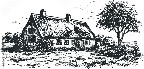 Rural landscape with a thatched roof cottage and a lone tree