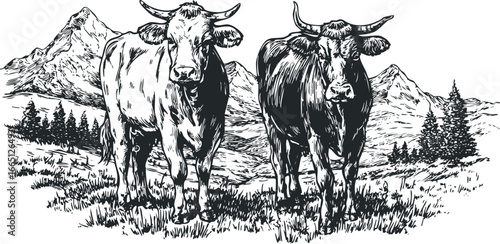Two cows grazing in a meadow with a mountain landscape