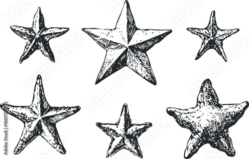Collection of Hand Drawn Starfish Illustrations on White Background