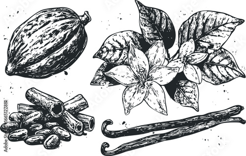Espresso bean, cocoa pod, vanilla bean, and cinnamon stick elements