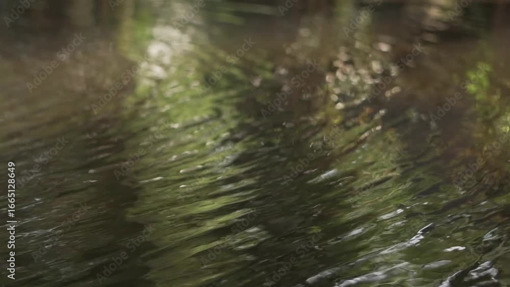 Whispers of Water. The calmness of water is a quiet, almost sacred stillness—like a mirror laid across the earth. Whispers of Water. The calmness of water is a quiet, almost sacred stillness—like a mirror laid across the earth.