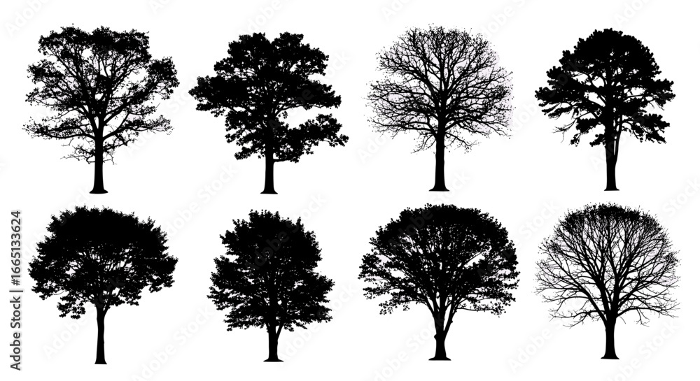 Obraz premium Eight tree silhouettes arranged in two rows showcasing different tree shapes and branching patterns