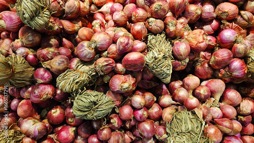 Many fresh bunches of shallots for sale at market or supermarket. Freshness vegetables, harvest of agriculture and ingredients for cooking food.