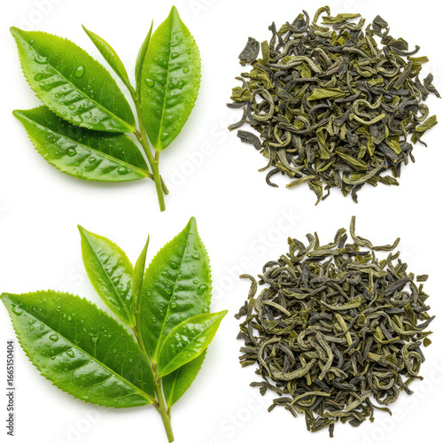 Fresh And Dried Tea Leaves Isolated On White Background