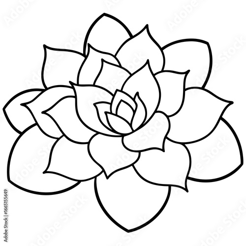 Black and white succulent silhouette isolated on white background