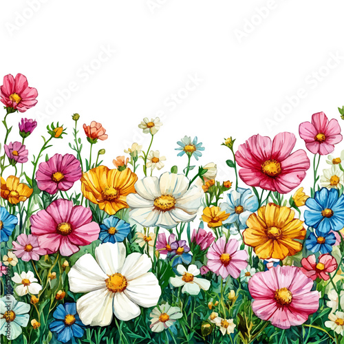 Blooming Wildflower Spring Meadow, watercolor vector, isolated on a white background.