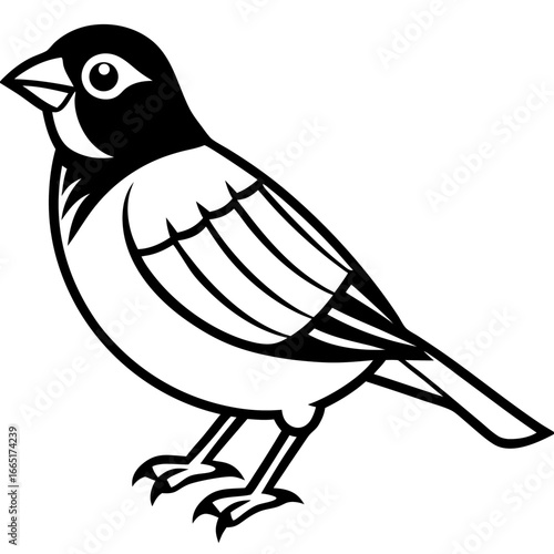 Minimal Finch Illustration