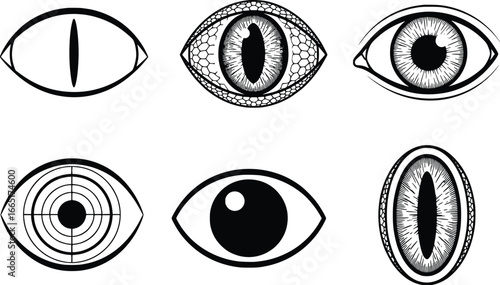 Collection of six unique silhouette eye designs including animal reptile and target styles