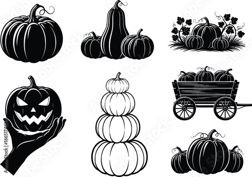 Six black silhouette designs of pumpkins and gourds for autumn and halloween