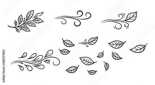 a collection of black and white line drawings of leaves and swirling leafy vines