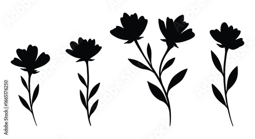 Black silhouettes of flowers on white background for design and decoration