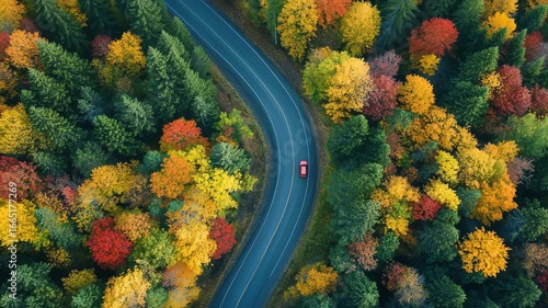 Aerial view of a winding road through a vibrant forest during autumn, with colorful trees showcasing the beauty of the changing season 4k video
